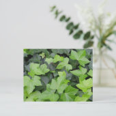 Green Ivy Botanical Print Postkarte (Stehend Vorderseite)