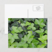 Green Ivy Botanical Print Postkarte (Vorne/Hinten)