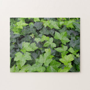 Green Ivy Botanical Print Puzzle