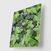 Green Ivy Botanical Print Quadratische Wanduhr (Winkel)