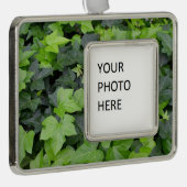 Green Ivy Botanical Print Rahmen-Ornament Silber (Rechts)