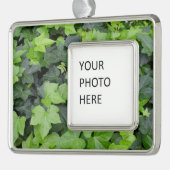 Green Ivy Botanical Print Rahmen-Ornament Silber (Links)