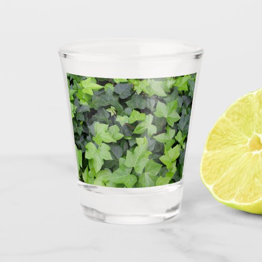 Green Ivy Botanical Print Schnapsglas (Vorderseite)