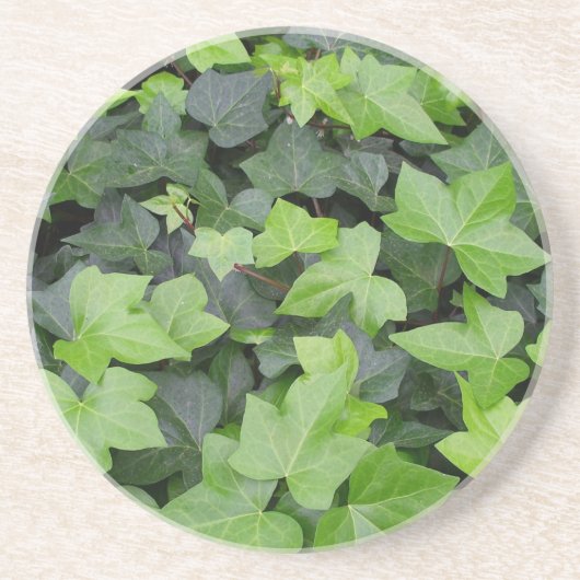 Green Ivy Botanical Print Untersetzer (Vorne)