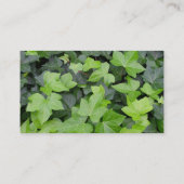 Green Ivy Botanical Print Visitenkarte (Rückseite)