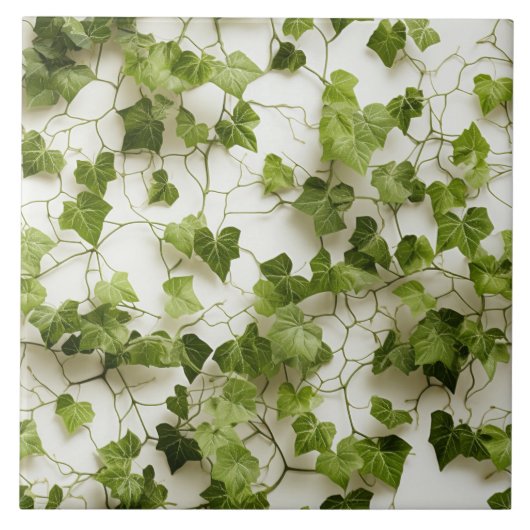Green Ivy Wall, nahtlose botanische Illustrationen Fliese (Vorderseite)