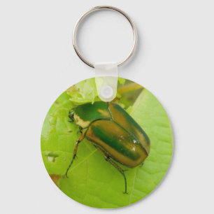 Green June Beetle Keychain Schlüsselanhänger