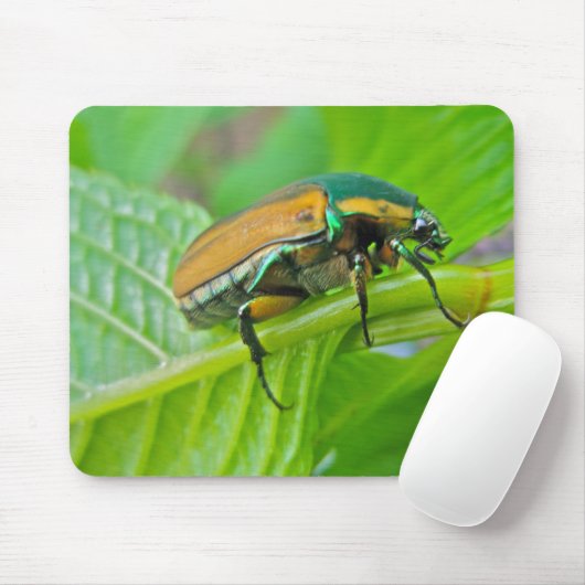 Green June Käfer Mousepad (Mit Mouse)