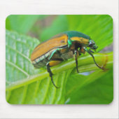 Green June Käfer Mousepad (Vorne)