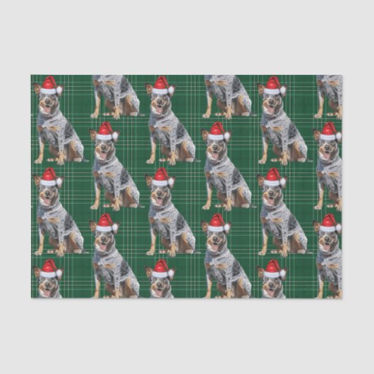 Green Kariert Blue Heeler Hund Weihnachtsfeiertag Seidenpapier (Vorderseite)
