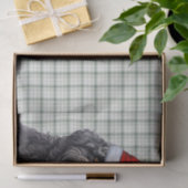 Green Kariert Christmas Barbet Doliday Seidenpapier (Geschenk)