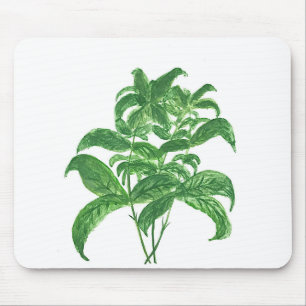 Green kitchen botanical plants herbs Basil Mousepad
