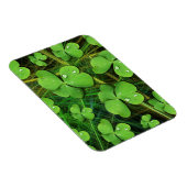 Green Kleeblatt St Patrick's Day Flexi Magnet (Rechte Seite)