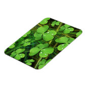 Green Kleeblatt St Patrick's Day Flexi Magnet (Linke Seite)