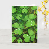 Green Kleeblatt St Patrick's Day Grußkarte Karte (Gelbe Blume)