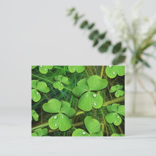 Green Kleeblatt St Patrick's Day Postcard Postkarte (Stehend Vorderseite)