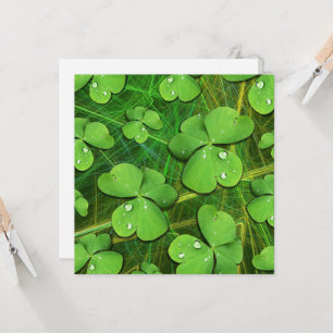 Green Kleeblatt St Patrick's iPhone 5 Case-Mate