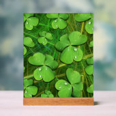 Green Kleeblatt St Patrick's iPhone 5 Case-Mate Acrylschild (Neutral)