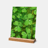 Green Kleeblatt St Patrick's iPhone 5 Case-Mate Acrylschild (Winkel)