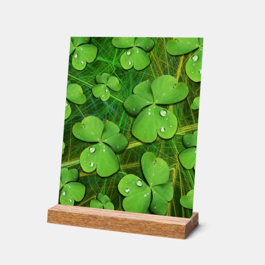 Green Kleeblatt St Patrick's iPhone 5 Case-Mate Acrylschild (Winkel)