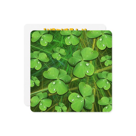 Green Kleeblatt St Patrick's iPhone 5 Case-Mate Einladung (Vorderseite/Rückseite Beispiel)