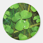 Green Kleeblatt St Patrick's iPhone 5 Case-Mate Magnet (Vorne)