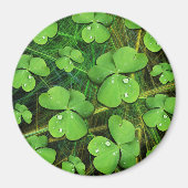 Green Kleeblatt St Patrick's iPhone 5 Case-Mate Magnet (Vorne)