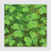 Green Kleeblatt St Patrick's iPhone 5 Case-Mate Magneteinladung (Vorderseite)