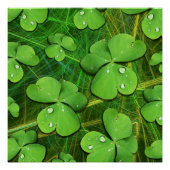 Green Kleeblatt St Patrick's iPhone 5 Case-Mate Poster (Vorderseite)