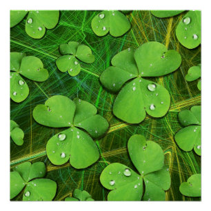 Green Kleeblatt St Patrick's iPhone 5 Case-Mate Poster