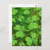 Green Kleeblatt St Patrick's iPhone 5 Case-Mate Postkarte (Vorne/Hinten)