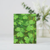 Green Kleeblatt St Patrick's iPhone 5 Case-Mate Postkarte (Stehend Vorderseite)