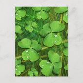 Green Kleeblatt St Patrick's iPhone 5 Case-Mate Postkarte (Vorderseite)