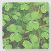 Green Kleeblatt St Patrick's iPhone 5 Case-Mate Steinuntersetzer (Vorderseite)
