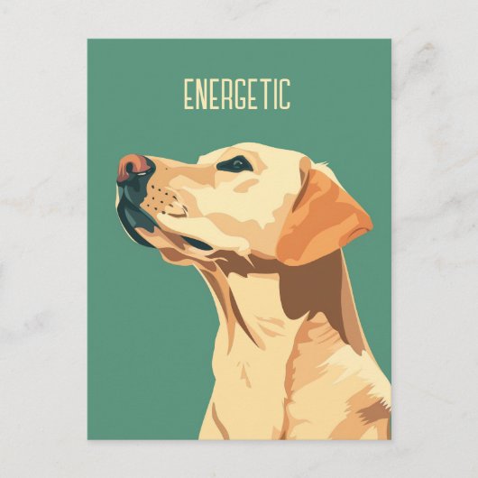 Green Labrador Retriever Postkarte (Vorderseite)