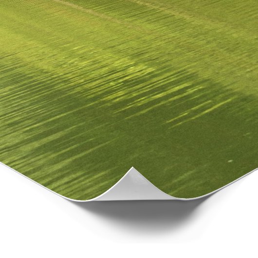 Green Lake Poster (Ecke)