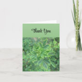 Green Leaf - Danke Karte (Vorderseite)