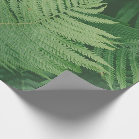 GREEN LEAF GESCHENKPAPIER (Ecke)