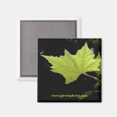Green Leaf Magnet (Vorderseite/Rückseite)