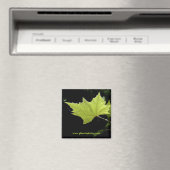 Green Leaf Magnet (In Situ (Geschirrspüler))
