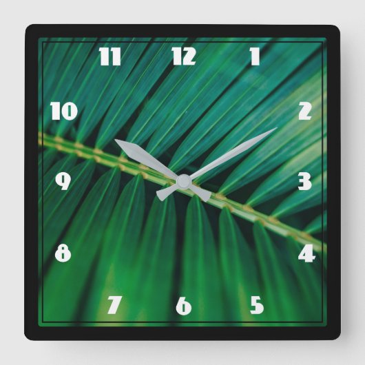 Green Leaf Palm Frontend Closeup Foto Quadratische Wanduhr (Vorderseite)