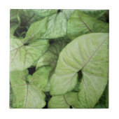 Green Leaf Print Fliese (Vorderseite)