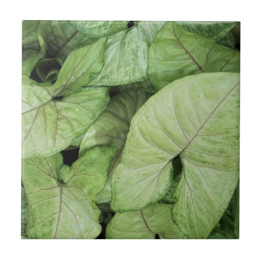 Green Leaf Print Fliese (Vorderseite)