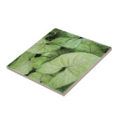 Green Leaf Print Fliese (Seite)