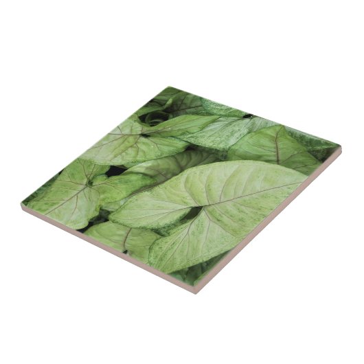 Green Leaf Print Fliese (Seite)