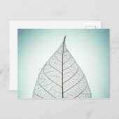 Green Leaf Skeleton Postkarte (Vorne/Hinten)