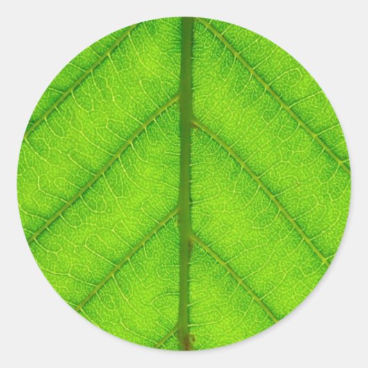 Green Leaf Stickers (Vorderseite)