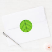 Green Leaf Stickers (Umschlag)
