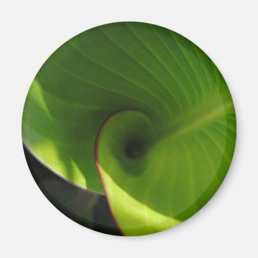 Green Leaf Swirl Magnet (Vorne)