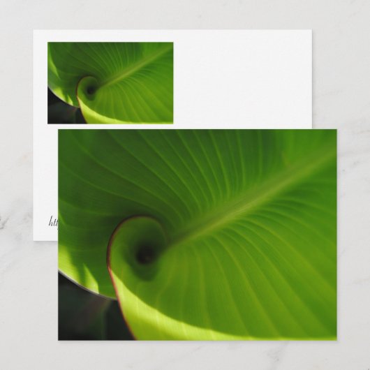 Green Leaf Swirl Postkarte (Vorne/Hinten)